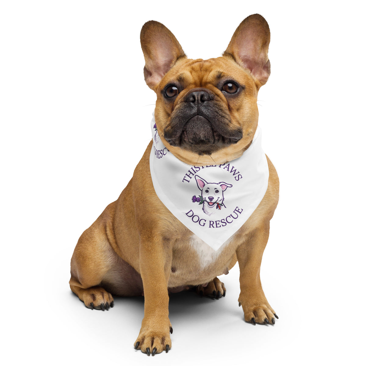 Thistle Paws Rescue