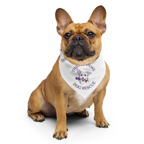 Thistle Paws Rescue